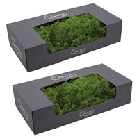 Bellatio 2x pakjes decoratie/hobby mos groen 500 gram -