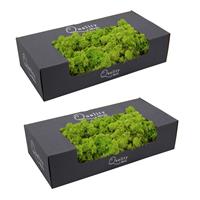 Bellatio 2x pakjes decoratie/hobby mos licht groen 500 gram -