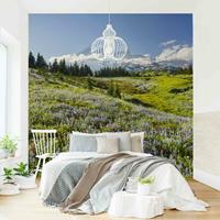 Bilderwelten Fototapete Berge - Bergwiese mit Blumen vor Mt. Rainier - Vliestapete Quadrat Größe HxB: 240cm x 240cm
