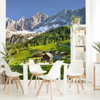 Bilderwelten Fototapete Berge - Steiermark Almwiese - Vliestapete Quadrat Größe HxB: 288cm x 288cm