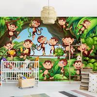 Bilderwelten Kindertapete - Dschungelaffen - Vlies Fototapete Breit Größe HxB: 225cm x 336cm