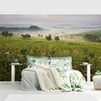 Bilderwelten Fototapete - Toskana Frühling - Vlies Breit Größe HxB: 255cm x 384cm