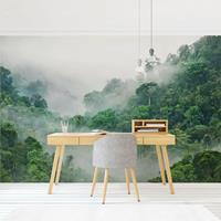 Bilderwelten Vliestapete - Dschungel im Nebel - Fototapete Breit Größe HxB: 190cm x 288cm