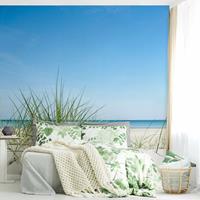 Bilderwelten Fototapete Strand - Ostseeküste - Vliestapete Quadrat Größe HxB: 288cm x 288cm