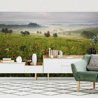 Bilderwelten Fototapete - Toskana Frühling - Vlies Breit Größe HxB: 190cm x 288cm