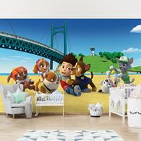 Bilderwelten Vliestapete - PAW Patrol - Am Strand - Breit Größe HxB: 190cm x 288cm