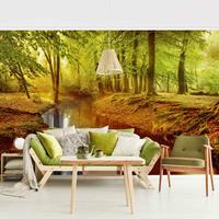 Bilderwelten Fototapete Wald - Herbstwald - Vliestapete Wald Breit Größe HxB: 225cm x 336cm