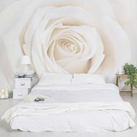 Bilderwelten Rosentapete - Fototapete Rosen - Pretty White Rose - Blumen - Vliestapete Breit Größe HxB: 225cm x 336cm
