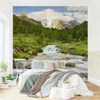 Bilderwelten Vliestapete - Debanttal Nationalpark Hohe Tauern - Fototapete Quadrat Größe HxB: 288cm x 288cm