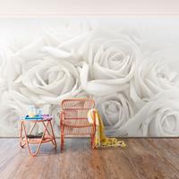 Bilderwelten Rosentapete - Vliestapete - Weiße Rosen - Blumen Fototapete Breit Größe HxB: 290cm x 432cm