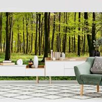 Bilderwelten Fototapete Wald - Waldwiese - Vliestapete Breit Größe HxB: 290cm x 432cm