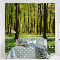 Bilderwelten Fototapete Wald - Waldwiese - Vliestapete Quadrat Größe HxB: 288cm x 288cm