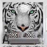 Bilderwelten Design Tapete - Weißer Tiger - Vlies Fototapete Quadrat Größe HxB: 288cm x 288cm