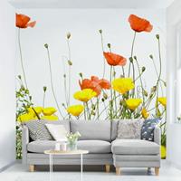 Bilderwelten Fototapete Blumen - Duo of Flowers Teil 2 - Vliestapete Quadrat Größe HxB: 288cm x 288cm