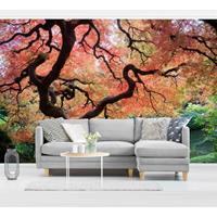 Bilderwelten Fototapete Wald - Japanischer Garten - Vliestapete Breit Größe HxB: 225cm x 336cm