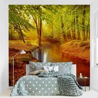Bilderwelten Fototapete Wald - Herbstwald - Vliestapete Quadrat Größe HxB: 288cm x 288cm
