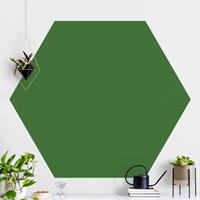 Klebefieber Hexagon Fototapete selbstklebend Colour Dark Green