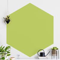 Klebefieber Hexagon Fototapete selbstklebend Frühlingsgrün