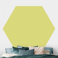 Klebefieber Hexagon Fototapete selbstklebend Pastellgrün