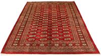 morgenland Wollen kleed Buchara Teppich handgeknüpft rot-Afghan Teppich - Buchara - 223 x 149 cm - rot
