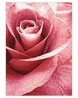 Arti Balta Diamond painting Rosa Rose