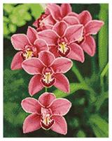 Arti Balta Diamond painting Orchidee