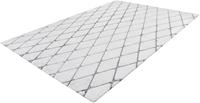 Calo-Deluxe Teppich Jardan-2000, rechteckig, 20 mm Höhe, besonders weich durch Microfaser, Wohnzimmer