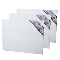 Gerim 4x stuks canvas schildersdoeken 50 x cm voor hobby verven/schilderen -