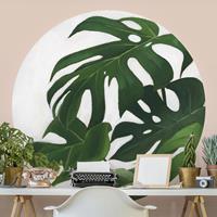 Klebefieber Runde Fototapete selbstklebend Lieblingspflanzen - Monstera