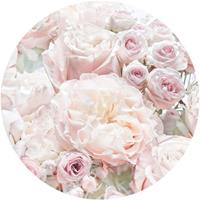 Komar Fototapete »Pink and Cream Roses«, glatt, Comic, botanisch, (Packung, 1 St), 125 x 125 cm