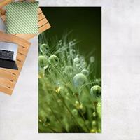 Bilderwelten Vinyl-Teppich - Grüne Samen im Regen - Hochformat 2:1 