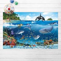 Bilderwelten Vinyl-Teppich - Animal Club International - Unterwasserwelt mit Tieren - Querformat 2:3 
