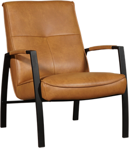 ShopX Leren fauteuil level 133, 120+ kleuren leer, in stoel