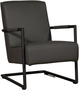 ShopX Leren fauteuil lodge 42 grijs, grijs leer, grijze stoel