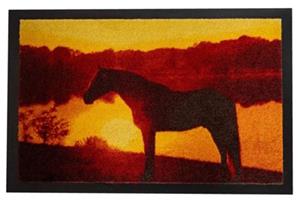 Dekowe Türmatte Pferde im Sonnenuntergang  bunt Gr. one size