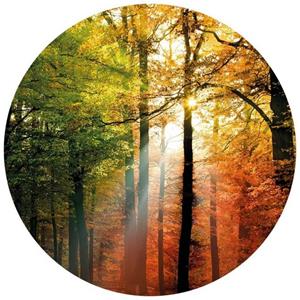 K&L WALL ART Fototapete »Fototapete Goldener Herbst Natur Wald Vliestapete Rund Tapete«, Herbstgold Tapete