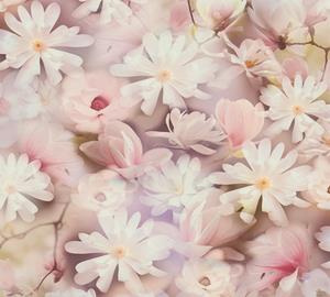 A.S. Création Vliestapete »PintWalls Floral zarte Blumentapete«, glatt, matt, (1 St), Blümchen