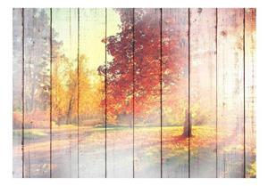 KUNSTLOFT Vliestapete »Fall Sunrays«, lichtbeständige Design Tapete