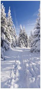 Wallario Türtapete »Wanderweg im Schnee«, glatt, ohne Struktur