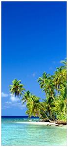 Wallario Türtapete »Blauer Himmel weißer Strand Palmen und das tiefblaue Meer«, glatt, ohne Struktur