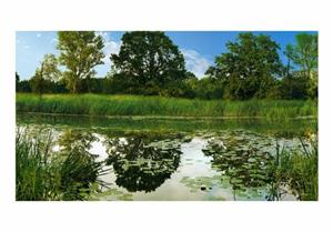 Basera Fototapete »Fluss- & Wasserfallmotiv c-A-0101-x-b«, Vliestapete