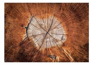 KUNSTLOFT Vliestapete »Tree Trunk Stories«, lichtbeständige Design Tapete
