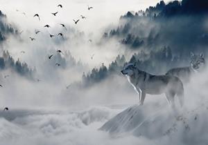 Wallarena Fototapete »Wald im Nebel Natur Wolf Landschaft Vlies Tapete für Wohnzimmer oder Schlafzimmer Vliestapete Wandtapete Motivtapete«, Glatt, Wald, Vliestapete inklusive Kleiste