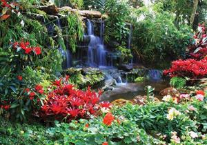 Wallarena Fototapete »Wasserfall Natur Wald Blumen Vlies Tapete für Wohnzimmer oder Schlafzimmer Vliestapete Wandtapete Motivtapete«, Glatt, Wasserfall, Vliestapete inklusive Kleister