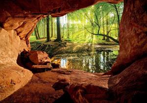 Wallarena Fototapete »3D EFFEKT Wald Höhle Sonne Grotte Panorama Natur Landschaft Vlies Tapete für Wohnzimmer oder Schlafzimmer Vliestapete Wandtapete Motivtapete«, Glatt, 3D-Opt