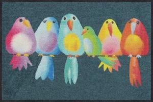 Salonloewe Fußmatte » RAINBOW BIRDS Fußmatte Wohnmatte 50 x 75 cm«, , Rechteckig, Höhe 7 mm, In- und Outdoor, waschbar bei 40° Grad in der Waschmaschine und t