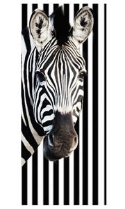 Bilderdepot24 Türtapete, Zebra vor einem gestreiften Hintergrund, selbstklebendes Vinyl