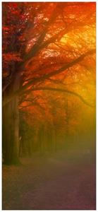 Wallario Türtapete »Bunter Herbst - Waldlandschaft bei Nebel in Regenbogenfarben«, glatt, ohne Struktur