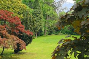 Wallarena Fototapete »Garten Natur 3D EFFEKT Wald Vlies Tapete für Wohnzimmer oder Schlafzimmer Vliestapete Wandtapete Motivtapete«, Glatt, 3D-Optik, Vliestapete inklusive Kleister