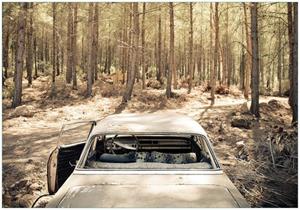 Wallario Vliestapete »Verrosteter Oldtimer im Wald«, Seidenmatte Oberfläche, hochwertiger Digitaldruck, in verschiedenen Größen erhältlich